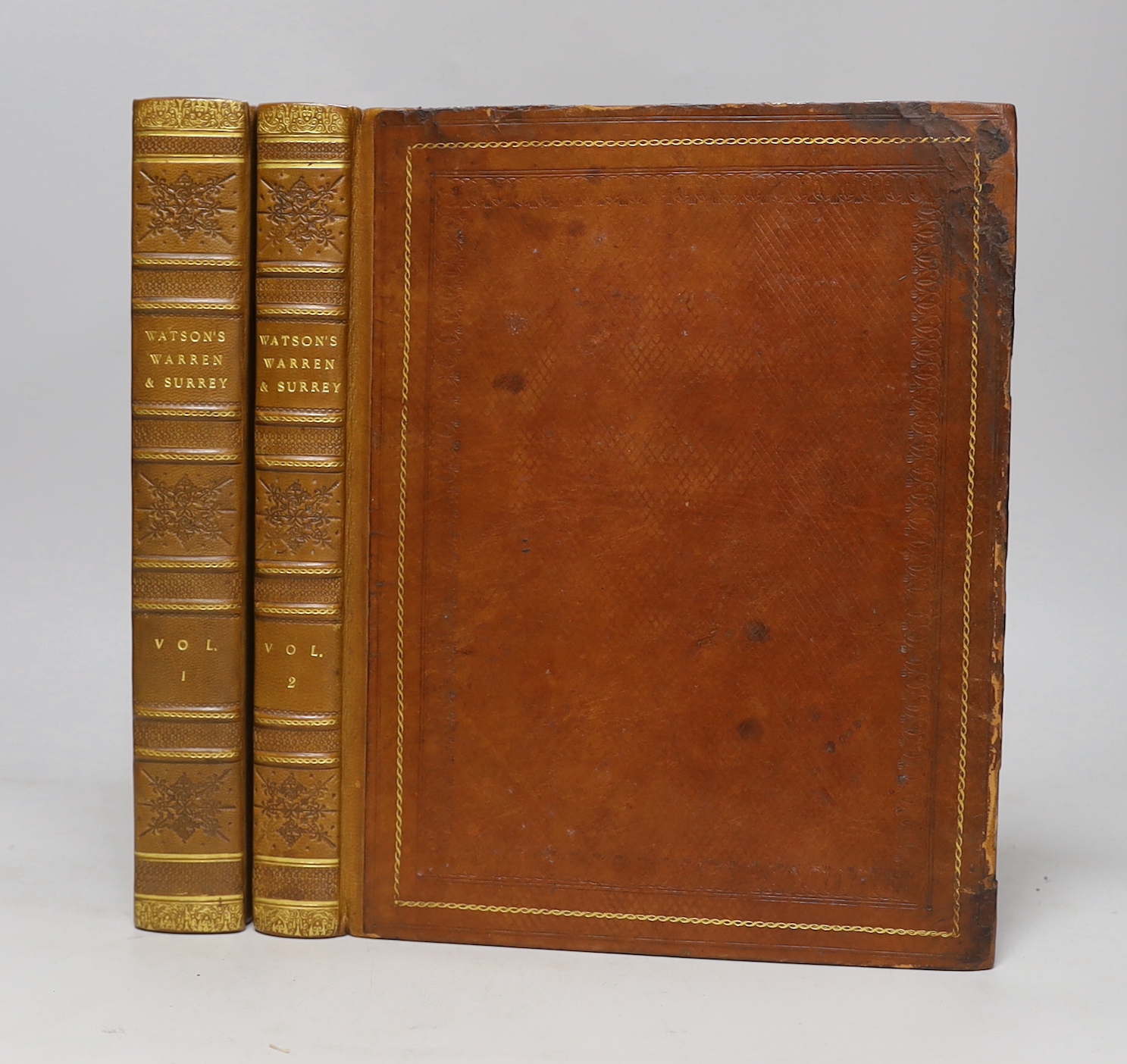 LEWES AND SURREY -Watson, Rev. John - Memoirs of the Ancient Earls of Warren and Surrey and their Descendants to the Present Time, 2 vols, 1st published edition, 4to, diced calf rebacked, engraved portrait frontispiece,